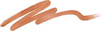 Brown Brushstroke Line